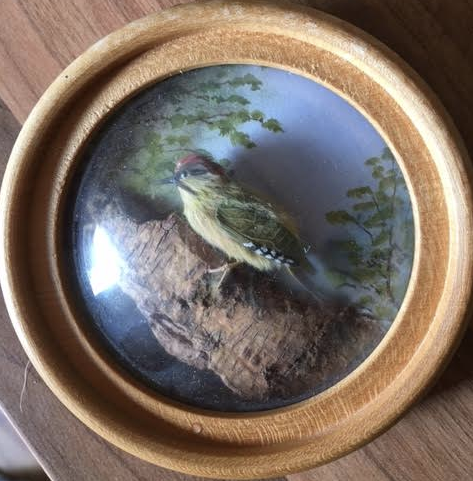 Green Woodpecker (Version 2)